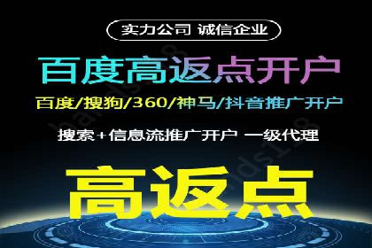 实战经验：竞价推广公司成功案例解析